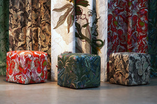 Welcoming the Wild: January’s New Arrivals