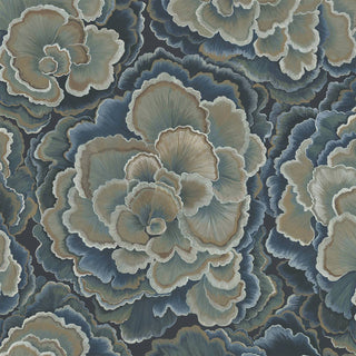 Trametes Carex - product image