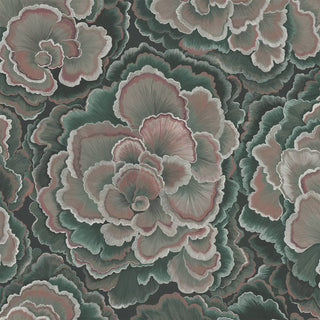 Trametes Hosta - product image