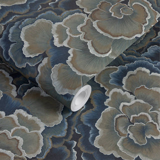 Trametes Carex - additional image