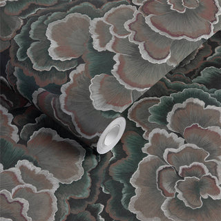 Trametes Hosta - additional image