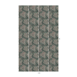 Trametes Hosta - additional image