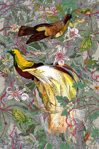 XL Jungle Panels: Papua Paradise