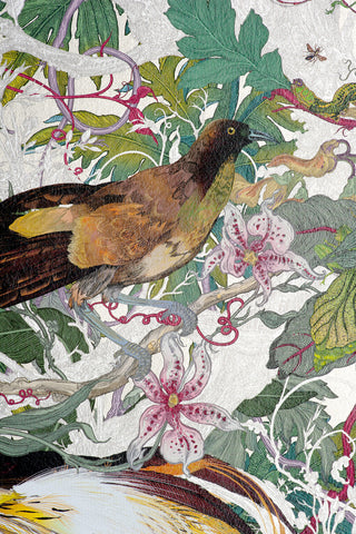 XL Jungle Panels: Papua Paradise