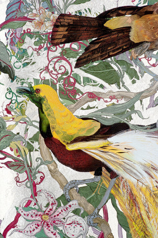 XL Jungle Panels: Papua Paradise