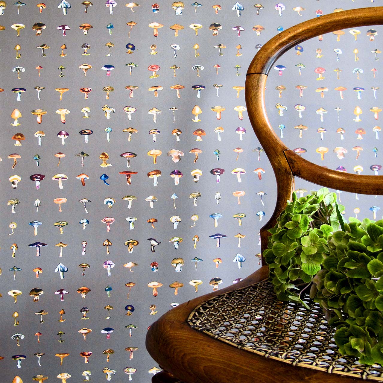 Forager Black by 17 Patterns, wallpaper