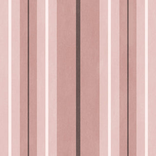 Lauriston Stripe Sakura