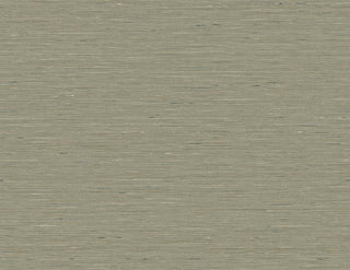 Sericum 64935111