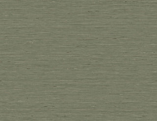 Sericum 64935113