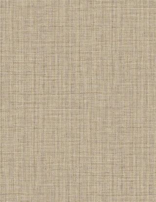 Fibrae-III 64945134