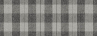 Scoticus 64960500