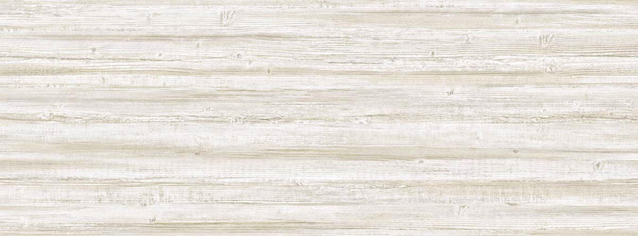 Truncus 64960605