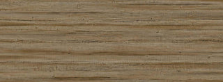 Truncus 64960606