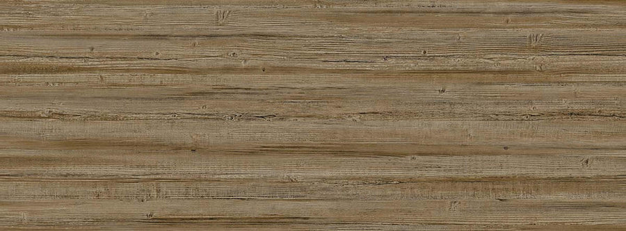 Truncus 64960606