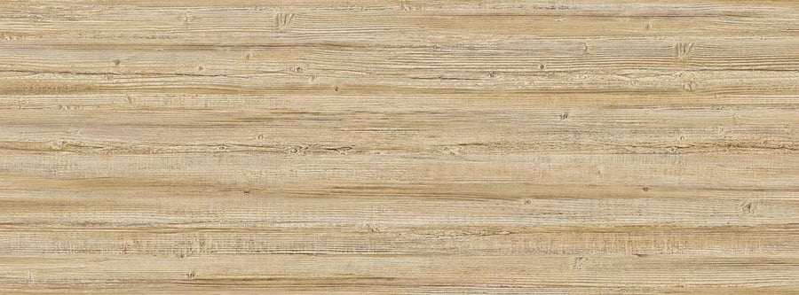 Truncus 64960607