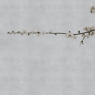 Blossom Branch Grey 6500307