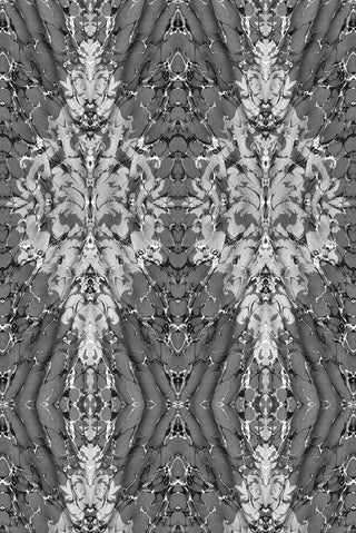 Ex Libris Velvet Greys