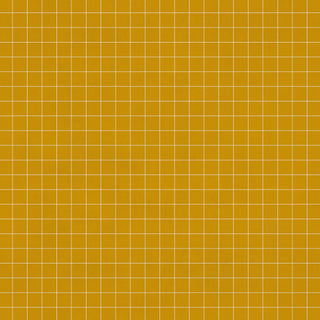 Notebook Mustard