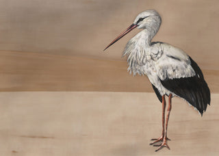 Stork Mother Sand