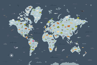 Animal Map Multicolor