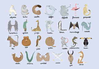 Animal Alphabet Multicolor