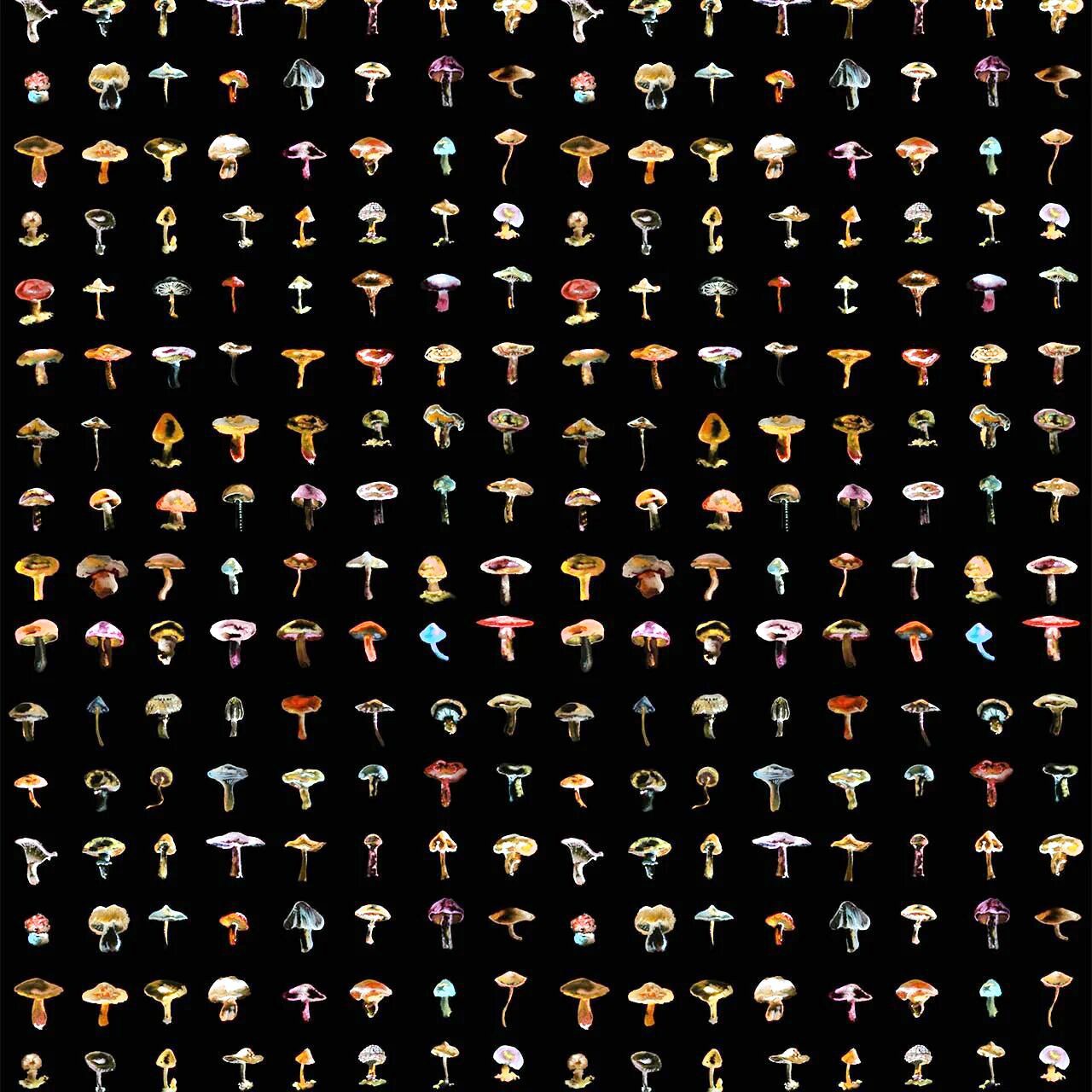 Forager Black by 17 Patterns, wallpaper