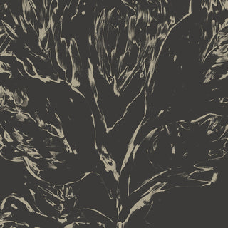 As If I Knew Her Black Noir by 17 Patterns