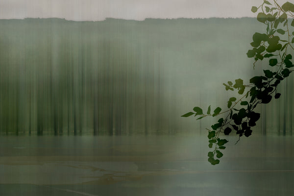 Amazzonia Green by Glamora, wallpaper mural