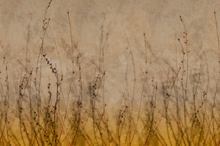 Anthuse Green by Glamora, wallpaper mural
