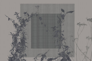 Arbor Vitae GLXV521A