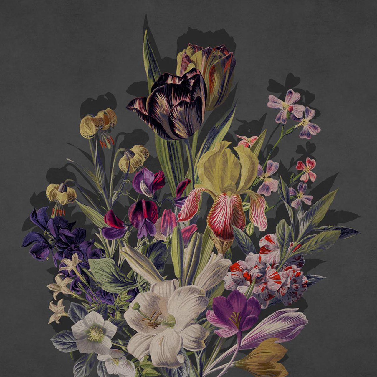 Blooming Marvellous - Flourish Charcoal