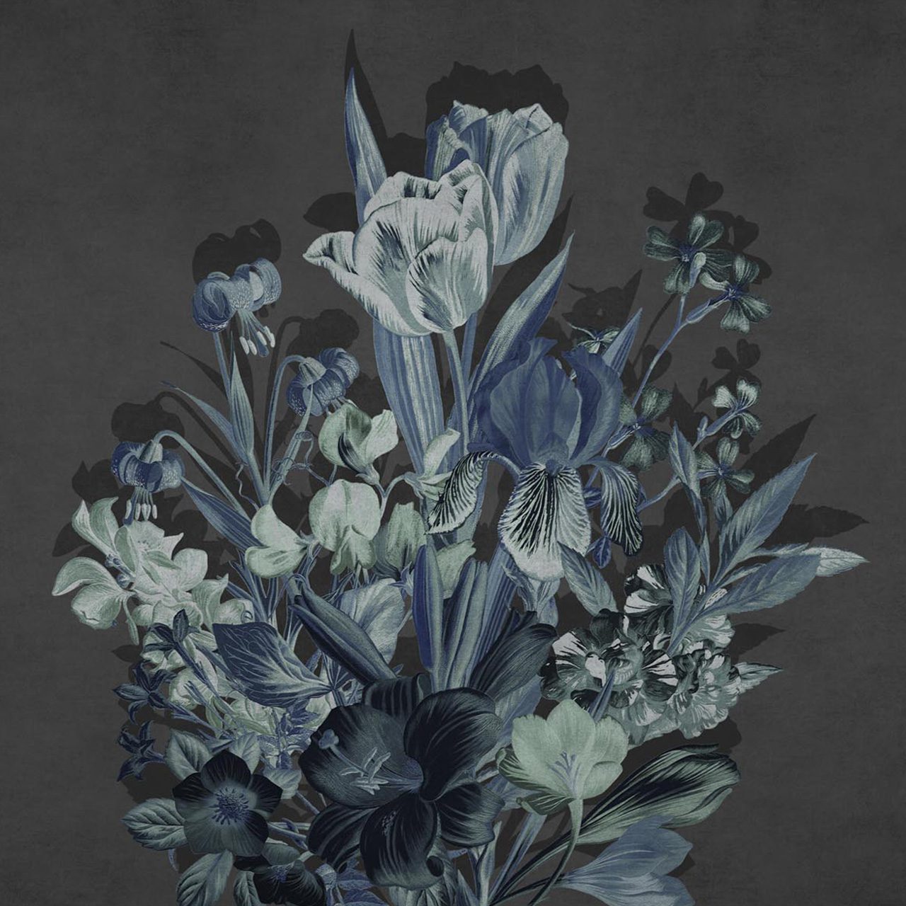 Blooming Marvellous - Flourish Xray – NewWall Inc.