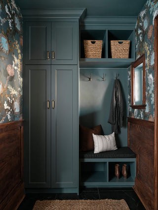 Protea's Dream Conure Bleu