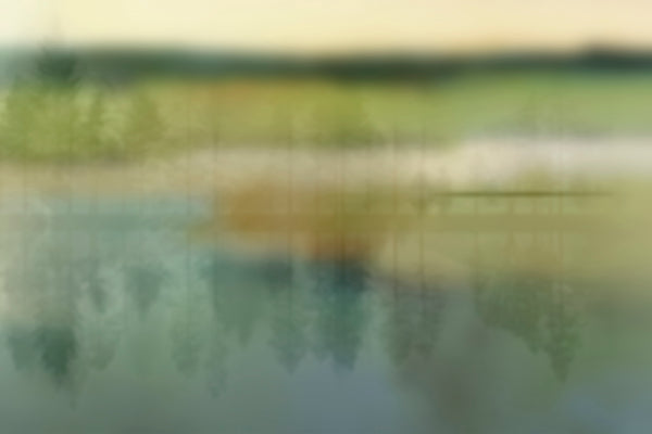 Calm Green by Glamora, wallpaper mural