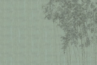 Chiaroscuro texture detail from the Vespera Collection by Glamora