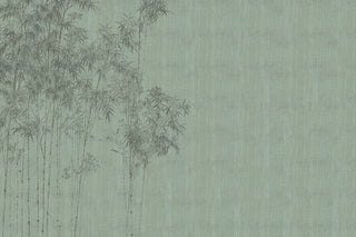 Chiaroscuro texture detail from the Vespera Collection by Glamora