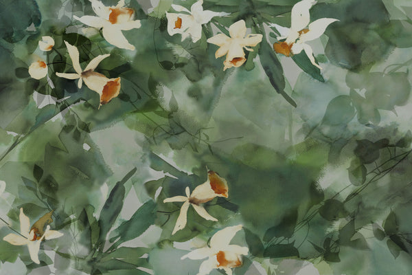 Daffodil Dream Green by Glamora, wallpaper mural
