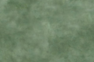 Daffodil Dream GLXV361C