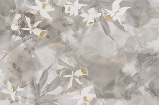 Daffodil Dream GLXV362A