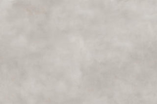 Daffodil Dream GLXV362C