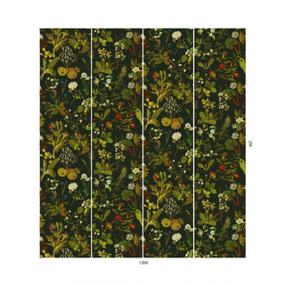 Herbarium Forest Green