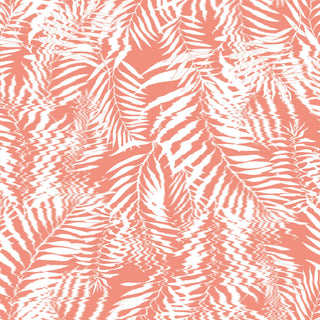 Corail de palmier brumeux