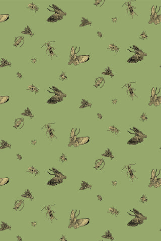 Insect - Hand Printed Gold & Black on Kingsburgh