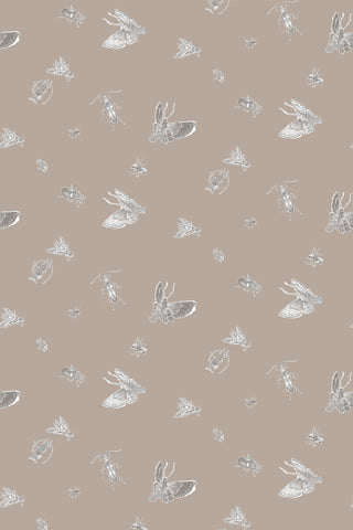 Insect - Hand Printed Beige & White on Stone