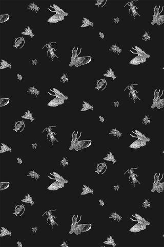 Insect - Hand Printed White & Black on Black