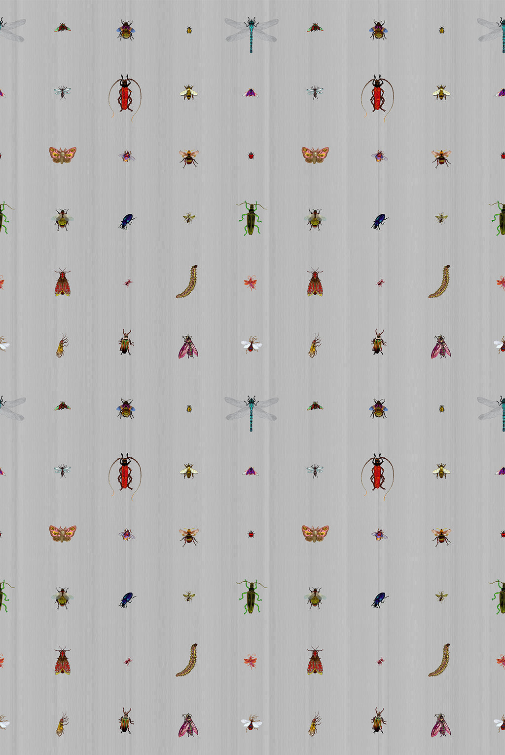 Insect Grid Grey – NewWall Inc.