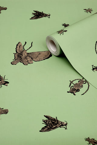 Insect - Hand Printed Gold & Black on Kingsburgh