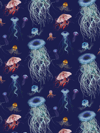 Jellyfish Original