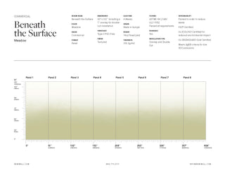 Beneath the Surface Meadow