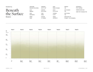 Beneath the Surface Meadow